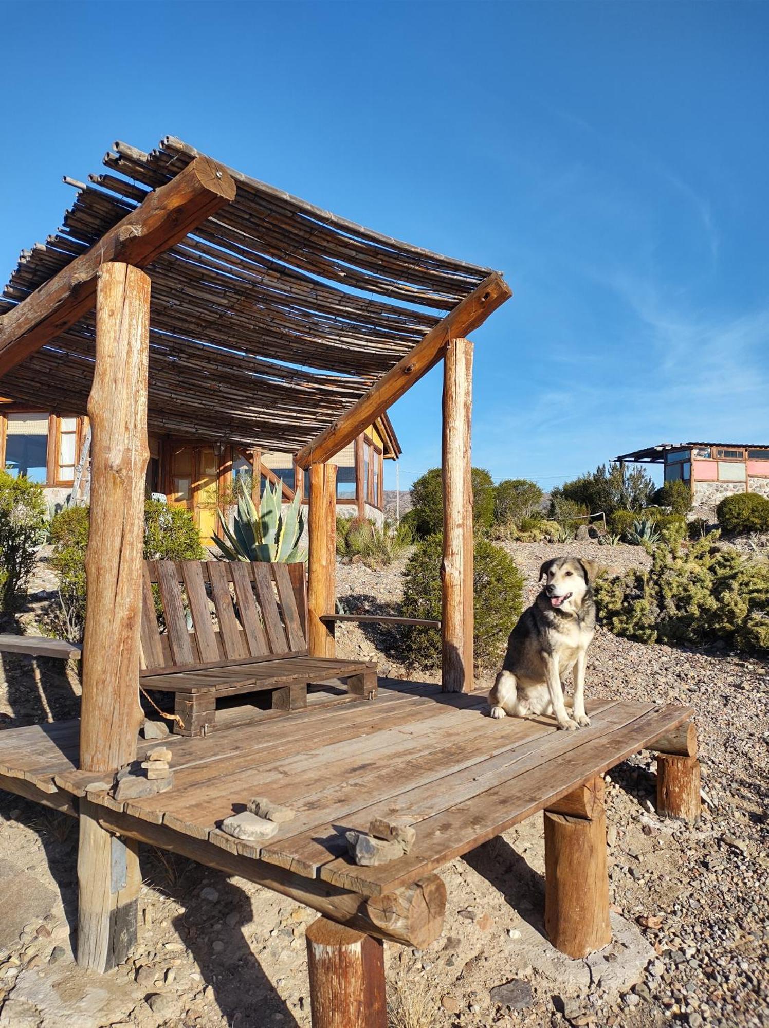 Cabana La Mostacita - Complejo El Taller Potrerillos Kültér fotó