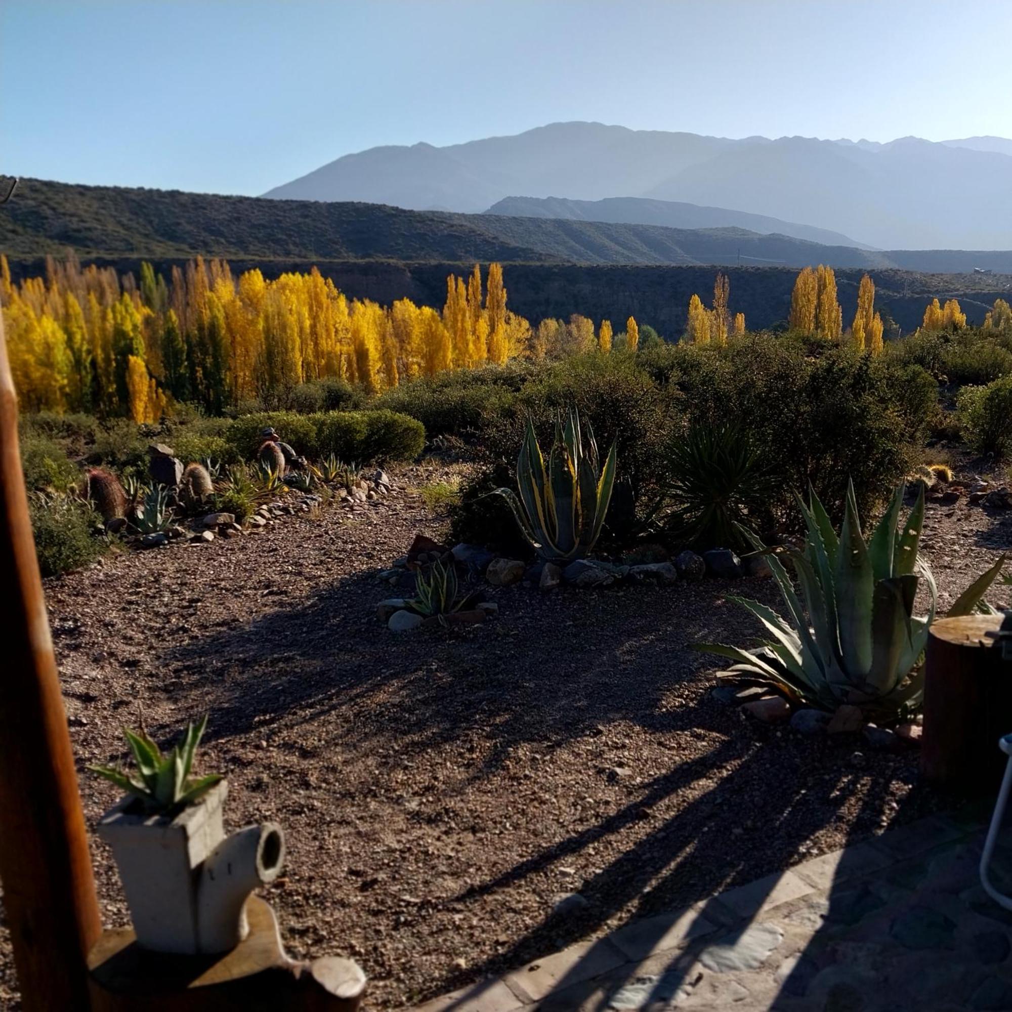 Cabana La Mostacita - Complejo El Taller Potrerillos Kültér fotó